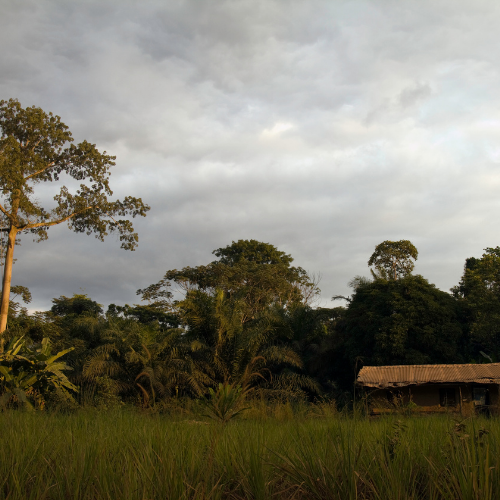 gabon visa information