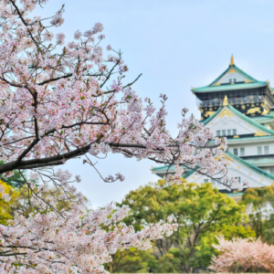 japan visa information