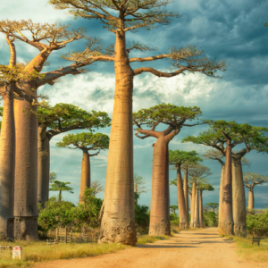 madagascar visa information