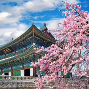 south korea visa information