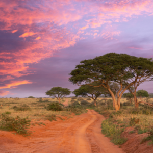 uganda visa information